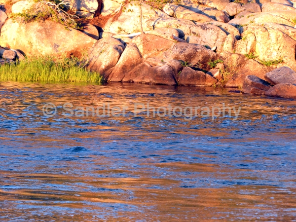 http://www.sandlerphotography.com/Photos/July 2010 401 - 2 -LR.JPG